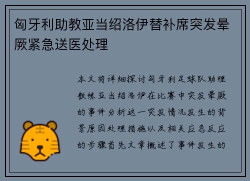 匈牙利助教亚当绍洛伊替补席突发晕厥紧急送医处理 匈牙利助教亚当绍洛伊替补席突发晕厥紧急送医处理