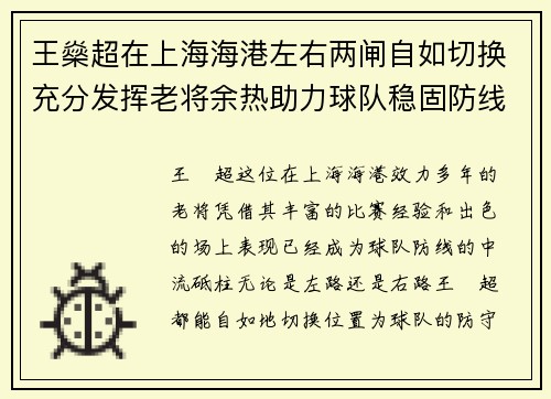 王燊超在上海海港左右两闸自如切换充分发挥老将余热助力球队稳固防线